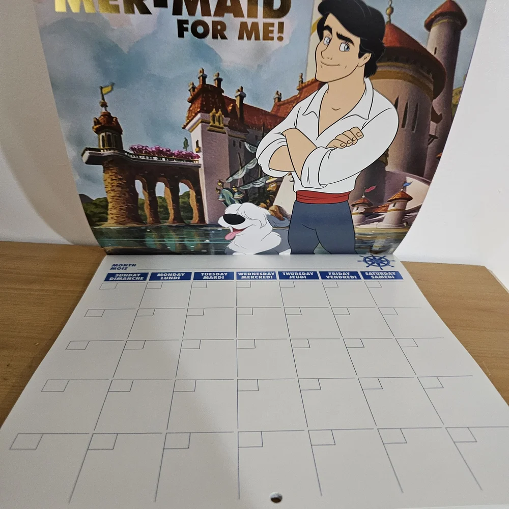 Oh My Disney DIY ANY YEAR Calendar Princes NEW Rare